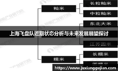 上海飞盘队近期状态分析与未来发展展望探讨
